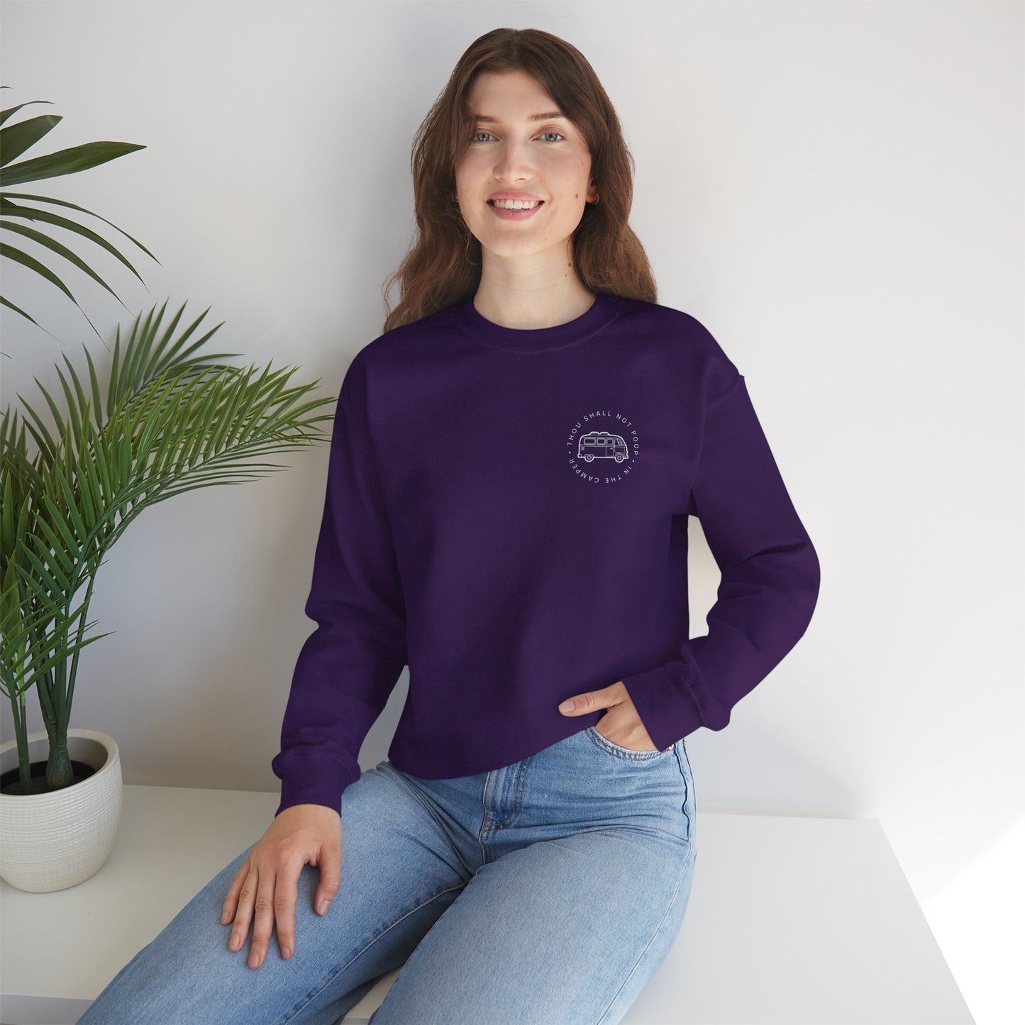 Cozy Camper Crewneck Sweatshirt — Van Life Humour Chest Graphic