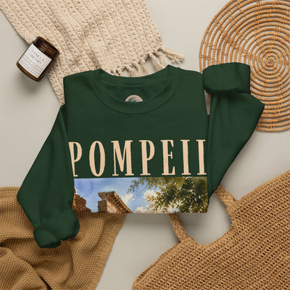 Pompeii Ruins Vintage Crewneck Sweatshirt