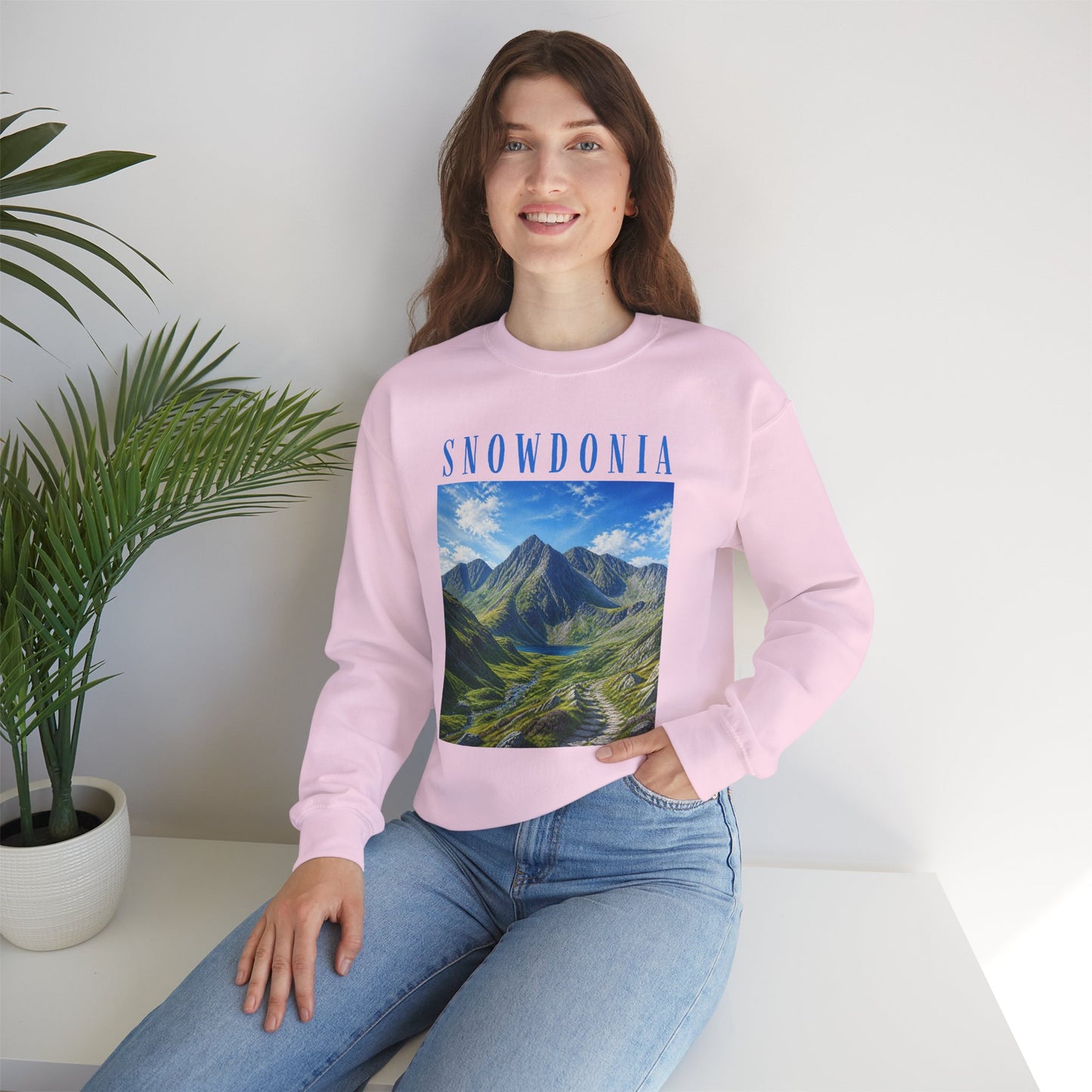 Glyderau Landscape - Snowdonia Mountain Crewneck Sweatshirt